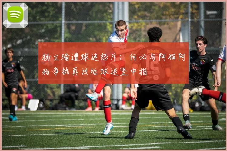 杨立瑜遭球迷怒斥：何必与阿猫阿狗争执真该给球迷竖中指
