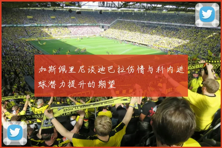 加斯佩里尼谈迪巴拉伤情与科内进球潜力提升的期望
